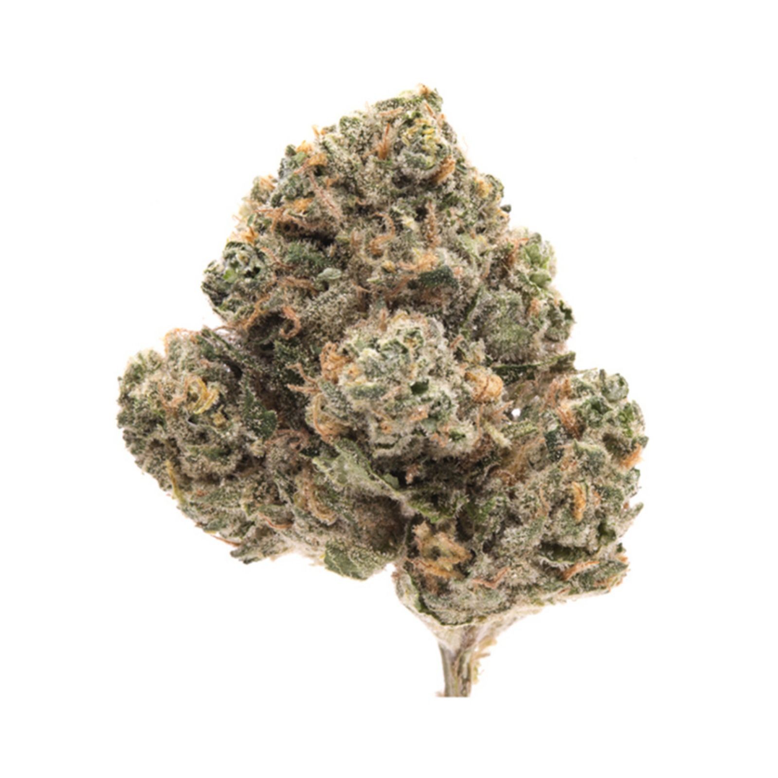 Grapefruit Durban Leafly